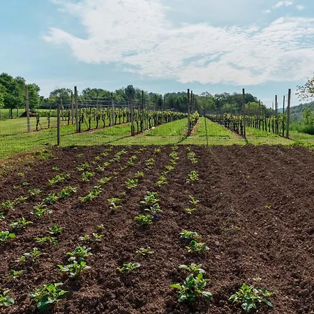 Lanita With Two Bedrooms & Terrace Lejlighed Podbocje