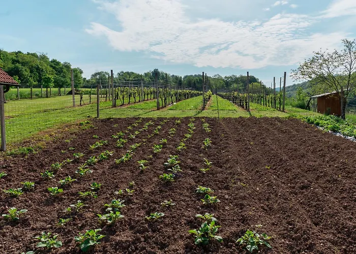 Lanita With Two Bedrooms & Terrace アパート Podbocje